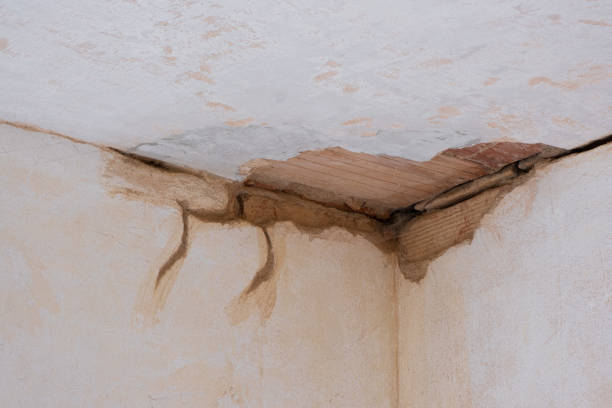 Best Water damage contractors near me  in Lake Park, GA