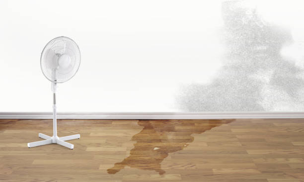 Best Commercial water damage restoration  in Lake Park, GA