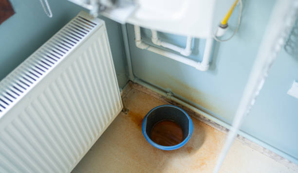 Best Water damage restoration insurance claims  in Lake Park, GA