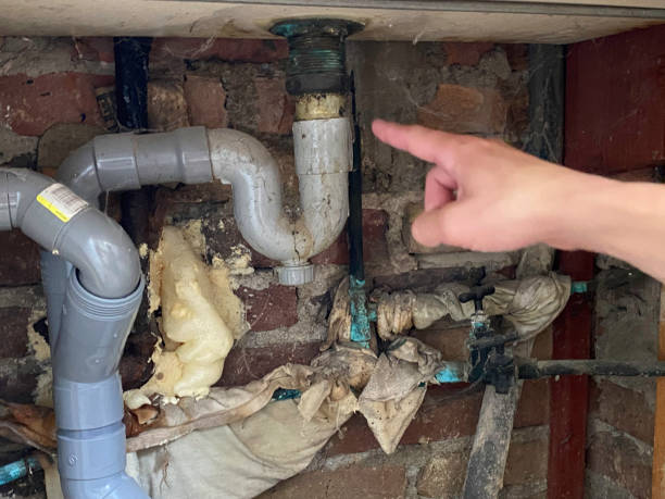 Best Carpet water damage restoration  in Lake Park, GA