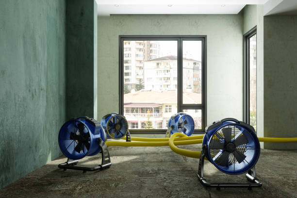 Best Professional water damage repair  in Lake Park, GA